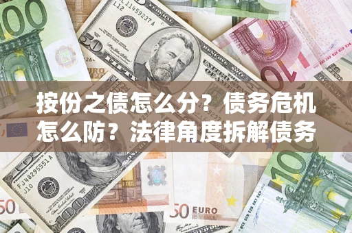 武汉按份之债怎么分？债务危机怎么防？法律角度拆解债务分配与风险自保指南