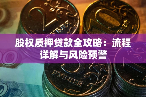 武汉股权质押贷款全攻略：流程详解与风险预警