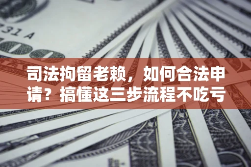 武汉司法拘留老赖，如何合法申请？搞懂这三步流程不吃亏！