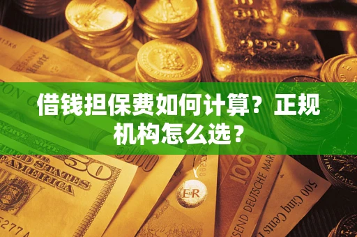 武汉借钱担保费如何计算？正规机构怎么选？