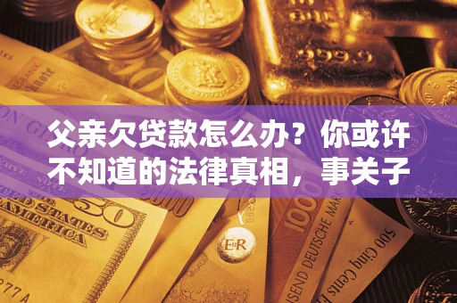 武汉父亲欠贷款怎么办？你或许不知道的法律真相，事关子女未来
