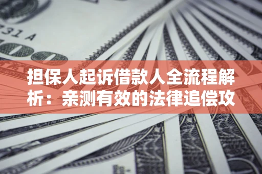 武汉担保人起诉借款人全流程解析：亲测有效的法律追偿攻略