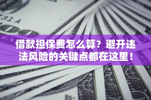 武汉借款担保费怎么算？避开违法风险的关键点都在这里！