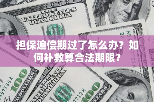 武汉担保追偿期过了怎么办？如何补救算合法期限？