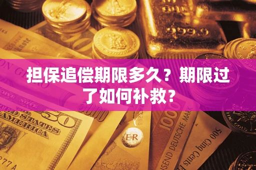 武汉担保追偿期限多久？期限过了如何补救？