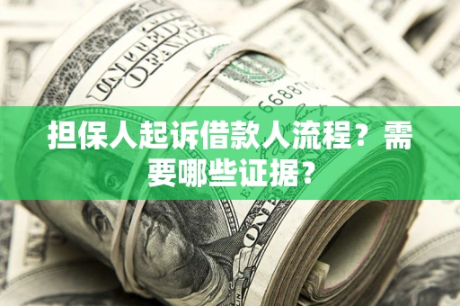 武汉担保人起诉借款人流程？需要哪些证据？