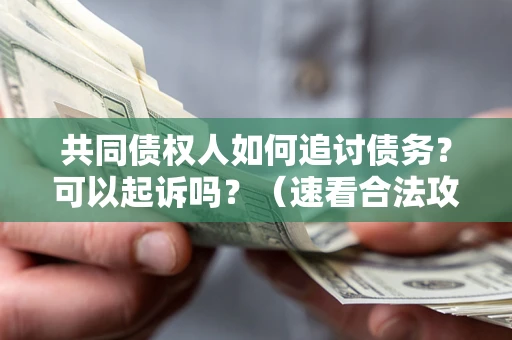 武汉共同债权人如何追讨债务？可以起诉吗？（速看合法攻略）