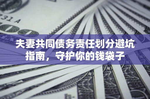 武汉夫妻共同债务责任划分避坑指南，守护你的钱袋子