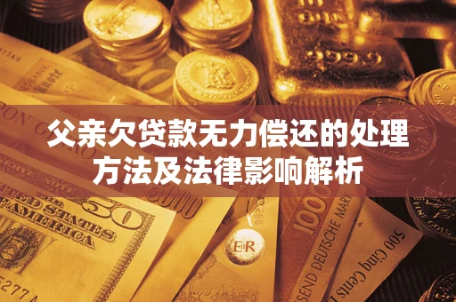 武汉父亲欠贷款无力偿还的处理方法及法律影响解析
