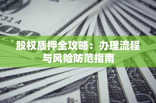 武汉股权质押全攻略：办理流程与风险防范指南