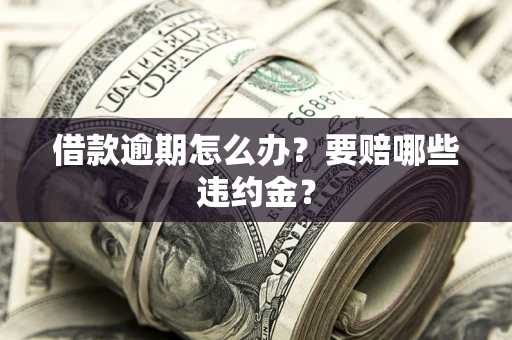 武汉借款逾期怎么办？要赔哪些违约金？