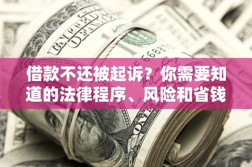 武汉借款不还被起诉？你需要知道的法律程序、风险和省钱技巧