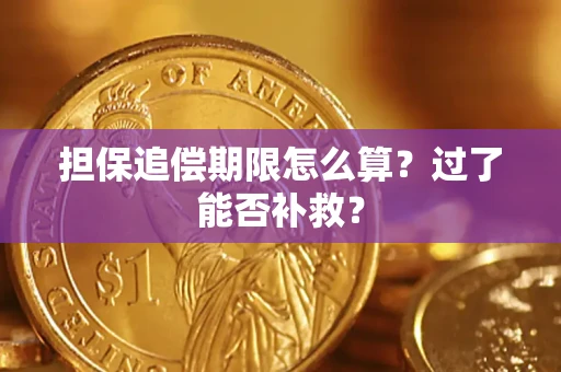 武汉担保追偿期限怎么算？过了能否补救？